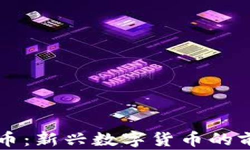 
东阳虚拟币：新兴数字货币的前景与挑战