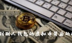 深入探索：看不到别人钱包的虚拟币背后的技术
