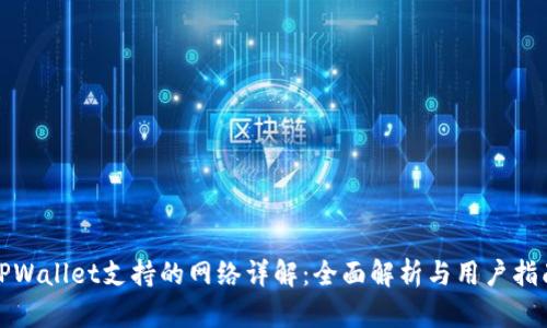 TPWallet支持的网络详解：全面解析与用户指南