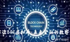 全面解读BRI虚拟币：未来金融的数字化转型